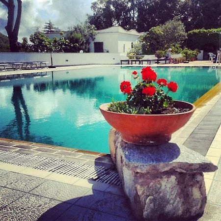 Hotel Al Bosco Forio  Ngoại thất bức ảnh