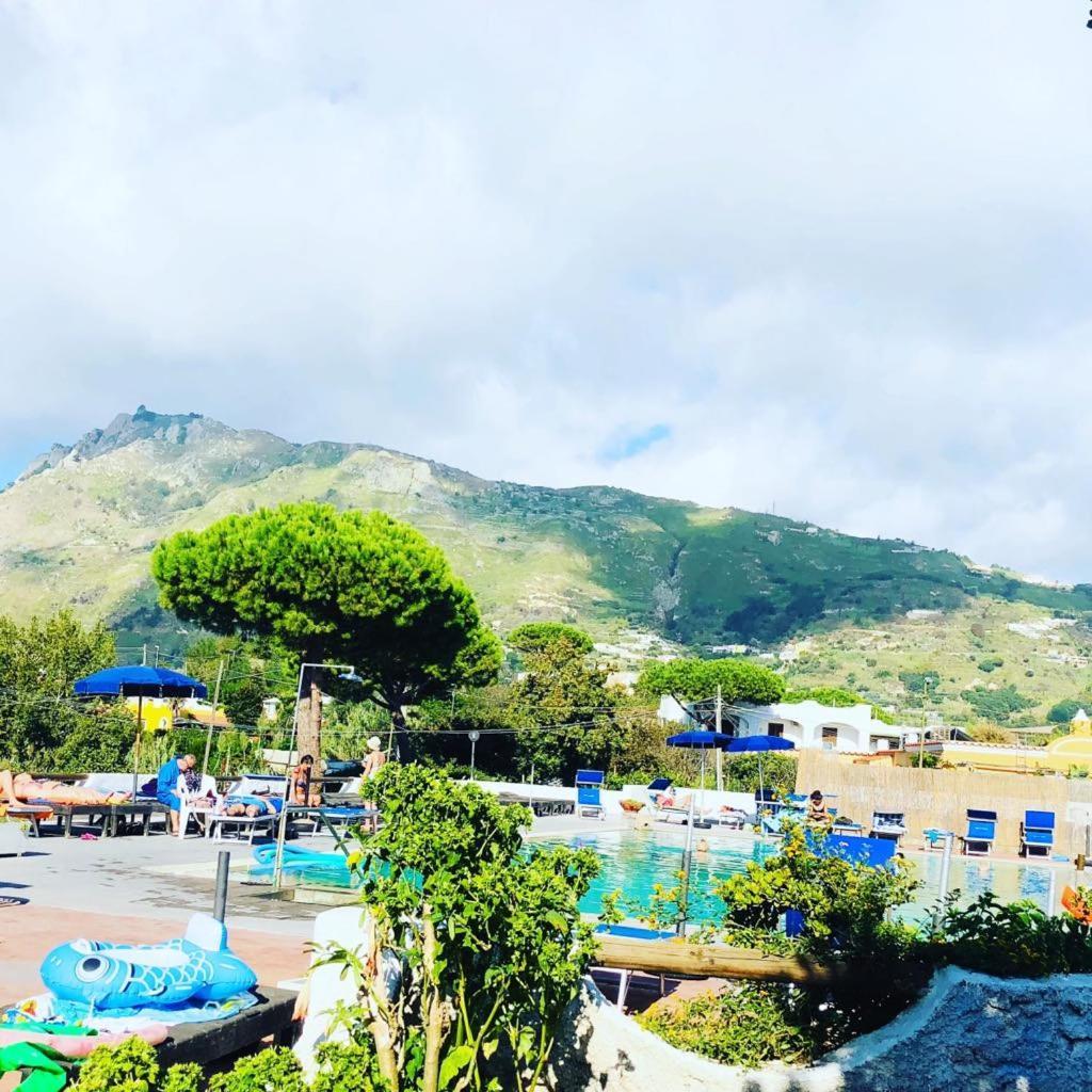 Hotel Al Bosco Forio  Ngoại thất bức ảnh
